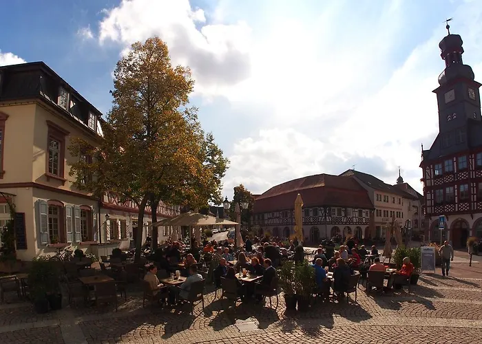 여관 Schillereck 로르슈